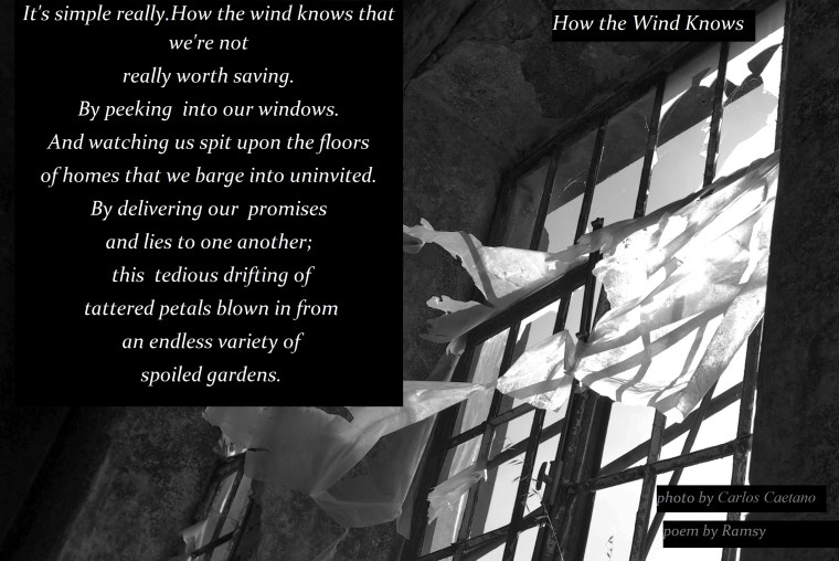 Rusty window with ripped plastic stripes fluttering in the wind.