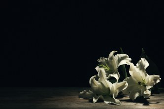 Beautiful lilies on dark background with space for text. Funeral flowers