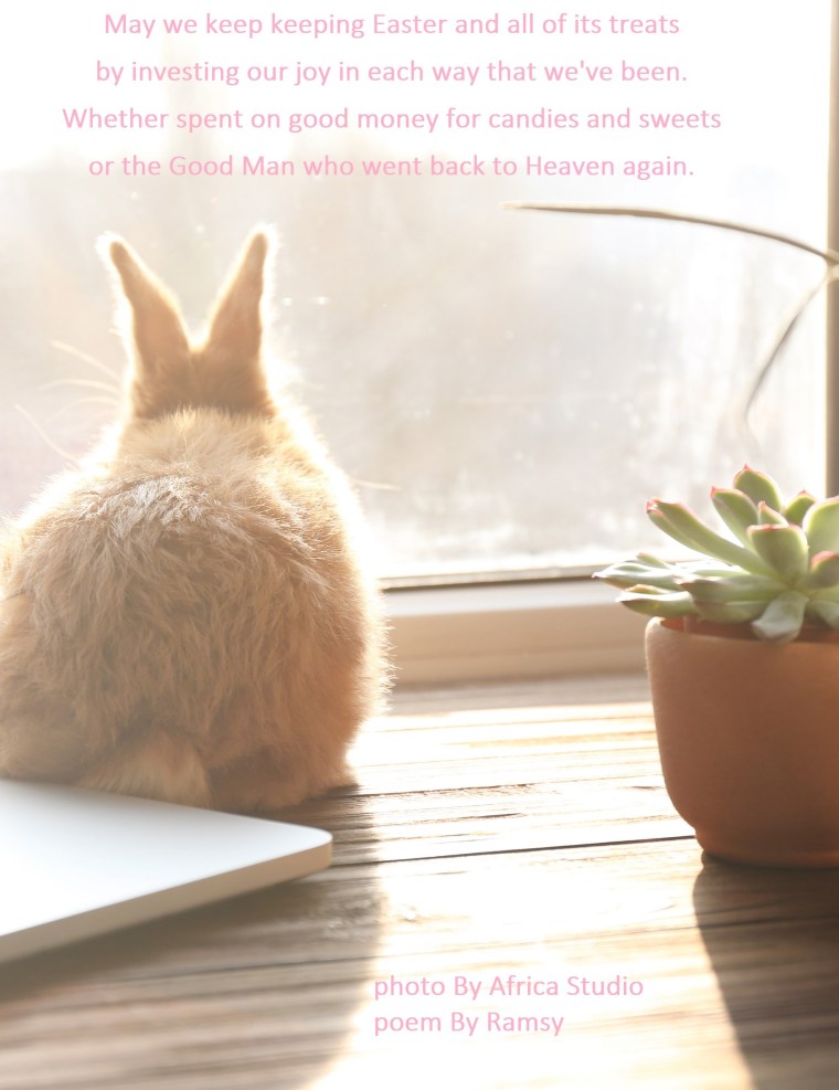 Cute funny rabbit and laptop on window sill in sunny day
