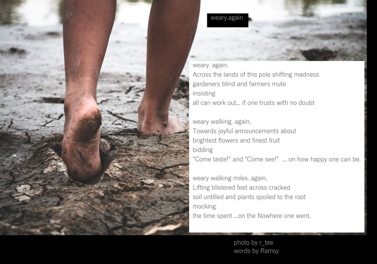 Men on ground cracked dry due to drought, food shortages and water,  Concept drought and crisis environment.